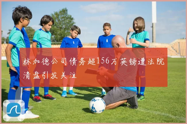林加德公司债务超156万英镑遭法院清盘引发关注