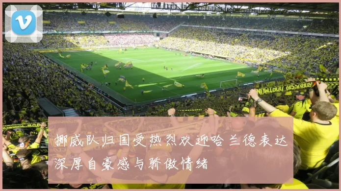 挪威队归国受热烈欢迎哈兰德表达深厚自豪感与骄傲情绪