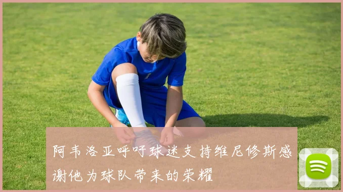 阿韦洛亚呼吁球迷支持维尼修斯感谢他为球队带来的荣耀