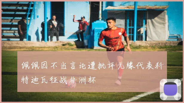 佩佩因不当言论遭批评无缘代表科特迪瓦征战非洲杯
