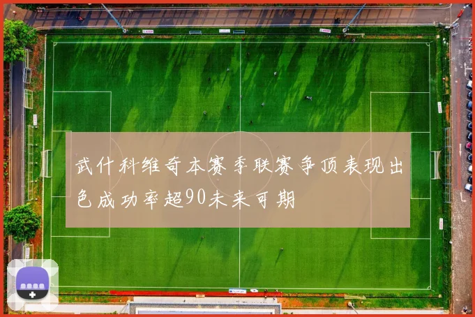武什科维奇本赛季联赛争顶表现出色成功率超90未来可期