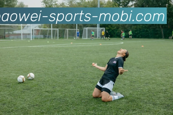 宝威体育全站App